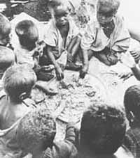 mi7-1.jpg (8714 bytes)