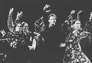 vi6-2.jpg (8863 bytes)