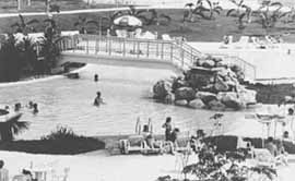 ju2-1.jpg (8552 bytes)