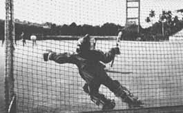 vi4-2.jpg (8147 bytes)