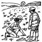 vi7-hilo.jpg (7594 bytes)