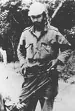 vi3-1.jpg (9928 bytes)