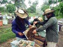 lu2-3.jpg (21327 bytes)