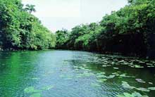 rio copia.jpg (14639 bytes)