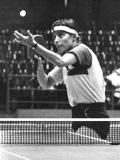 mi7-2.jpg (10064 bytes)