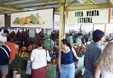 ju3-2.jpg (19115 bytes)