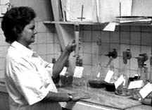 lu3-3.jpg (12788 bytes)