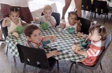 lu8-1.jpg (17263 bytes)