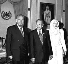 vi5-2.jpg (15621 bytes)