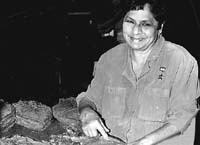 vi3-2.jpg (9270 bytes)