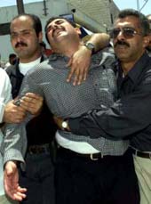 do4-1.jpg (16664 bytes)