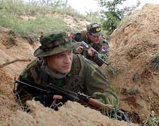 do4-2.jpg (21828 bytes)