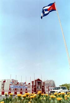 do5-2.jpg (16513 bytes)