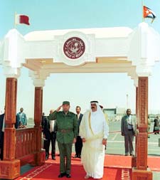 do5-3.jpg (19257 bytes)