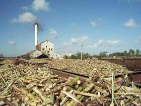 azucar.jpg (11635 bytes)