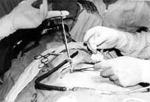 mi2-1.jpg (11880 bytes)