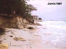 mi3-1.jpg (13366 bytes)