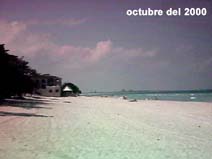 mi3-2.jpg (10315 bytes)