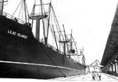 do3-2.jpg (29717 bytes)
