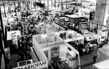 Foto: ARNALDO SANTOS