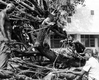 Ahora el pa�s se entrega por completo a las tareas de la recuperaci�n.