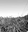 Foto: JORGE LUIS GONZ�LEZ