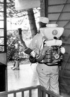 Foto: EMILIO ARG�ELLES