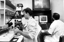 Foto: AHMED VELZQUEZ