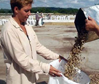 Foto: REIDEL GALLO