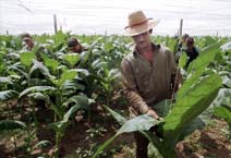 Foto: AHMED VELZQUEZ