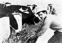 Foto: MODESTO GUTIRREZ