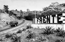 Foto: FRANCISCO ECHEVARR�A