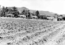 Foto: ALBERTO BORREGO