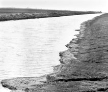 Foto: RA�L L�PEZ