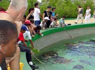 Foto: ALBERTO BORREGO