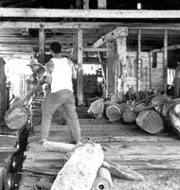 Foto: ISMAEL GONZ�LEZ NEGAT