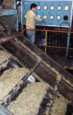 Foto: ISMAEL FRANCISCO