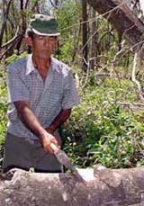 Foto: ALBERTO BORREGO �VILA