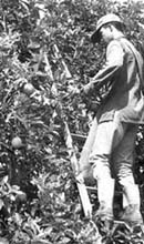 Foto: ISMAEL GONZ�LEZ