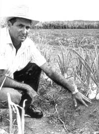 Foto: ALBERTO BORREGO