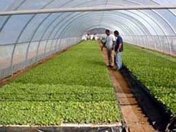 Foto: JORGE LUIS GONZLEZ