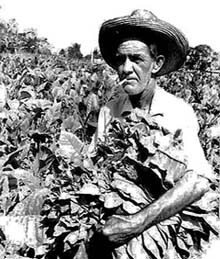 Foto: MARCELINO GÓMEZ