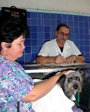 Foto: ALBERTO BORREGO