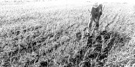 Foto: DANIEL MITJ�NS