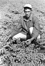 Foto: MODESTO GUTIRREZ