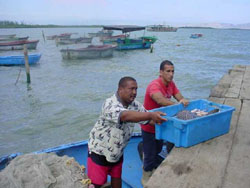 Foto: JORGE GONZ�LEZ S�NCHEZ