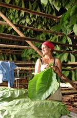 Foto: AHMED VELZQUEZ