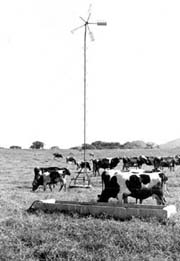 Foto: ALEXIS PE�A L�PEZ