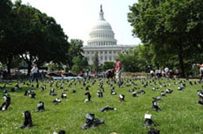 Los antiguerreristas de EE.UU. colocaron muy cerca del Capitolio 800 pares de botas en se�al de los militares muertos en Iraq en una guerra injusta e ilegal.