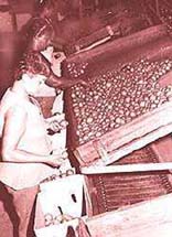 Foto: DIEGO ESTRELLA